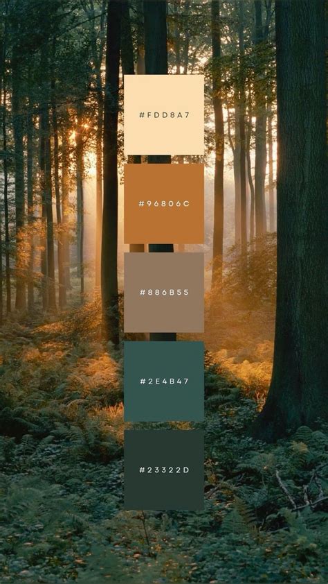 Image result for fgColor Color Palette