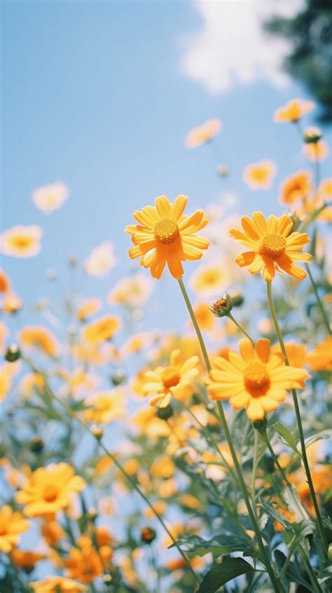 Image result for iPhone 12 Spring Wallpaper