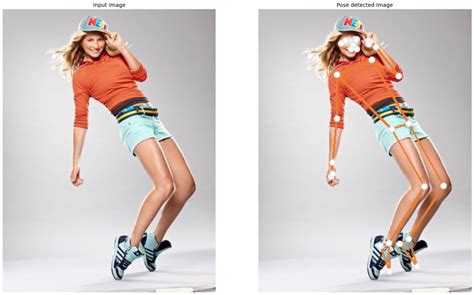 Image result for Pose Animation Detection Python