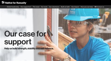 Toradh íomhá ar Case for Support Examples