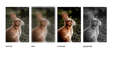 Filter Box Design HTML に対する画像結果