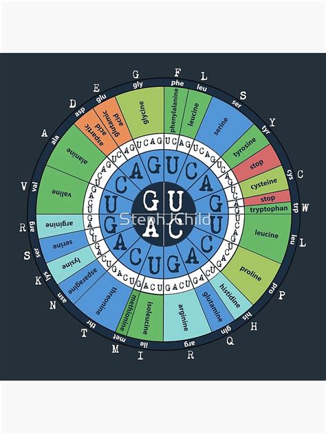 Image result for Codon Science