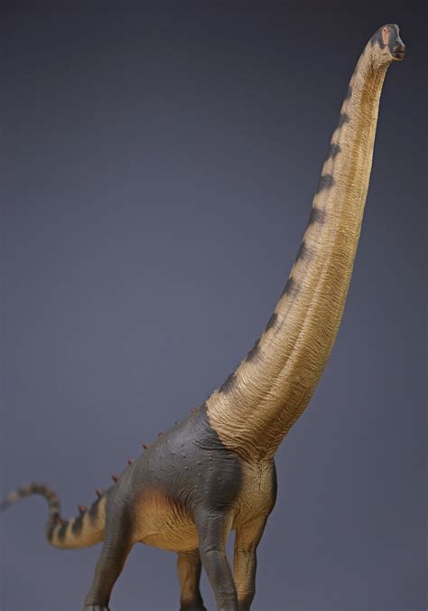 Afbeeldingsresultaten voor Pnso Alamosaurus