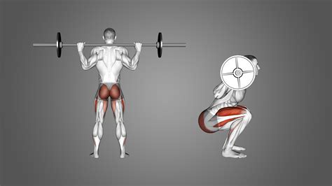 Image result for Squat Variation Chart
