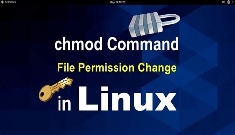 Image result for Linux Using Chmod