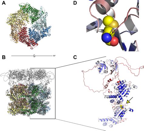 Image result for Protein Structure Modeling
