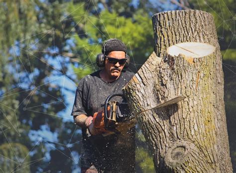 Afbeeldingsresultaten voor Product Tree Management Software