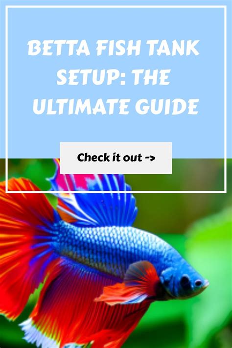 Betta Fish Tank Setup に対する画像結果