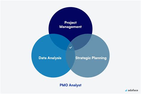 Image result for PMO Analyst