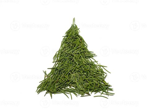 Image result for Christmas Tree Needles No Background