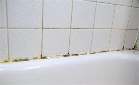 Image result for How to Remove Caulking From Shower