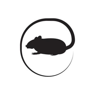 Image result for Small Mouse Animal Icon