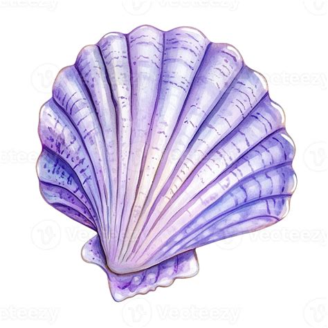 Toradh íomhá ar Purple Shells