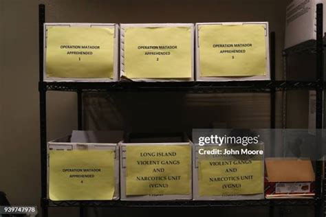 Image result for Suspect Case File