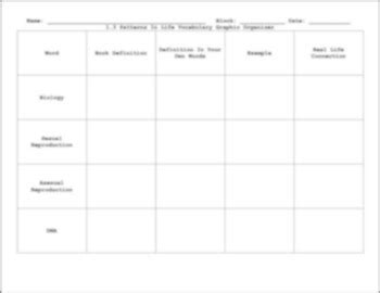 Image result for Patterns of Life Lesson 3