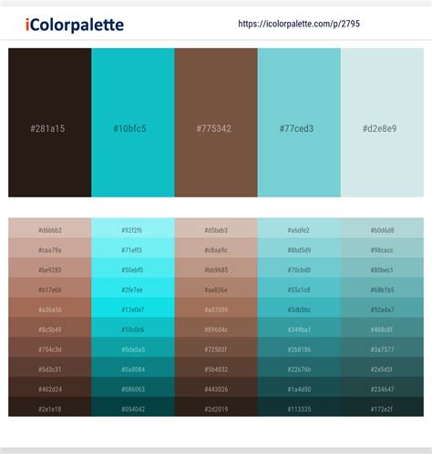 نتيجة الصورة لـ Color Cafe En Java