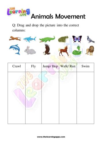 Image result for How Animals Move Worksheet