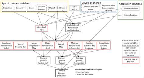Bayesian Belief Network Graph に対する画像結果