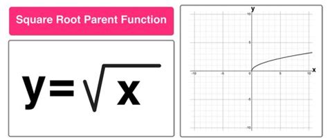 12 Parent Functions Graphs に対する画像結果