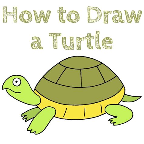 Toradh íomhá ar Turtle Drawing Step by Step