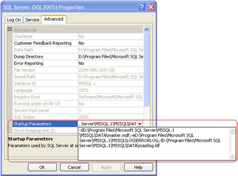 Add Startup Parameter SQL Server に対する画像結果