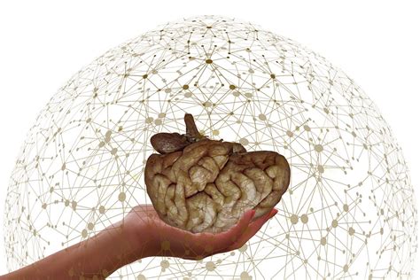 Image result for Brain Network Drawing