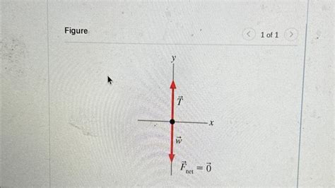 Image result for Force Acceleration Graph