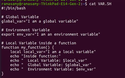 Image result for Local Variable in Script
