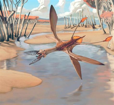 Image result for Alien Life Forms