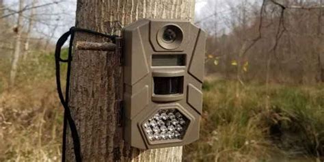Image result for Basic Trail Camera Set Up