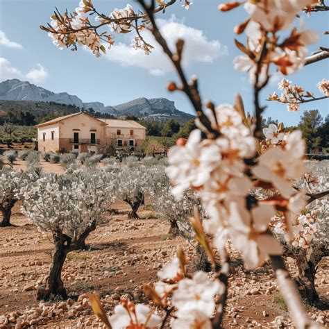 Spring Animals Cottage Core に対する画像結果