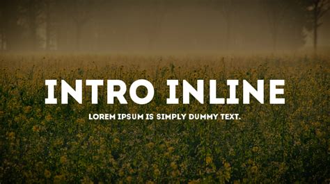 Image result for Intro Demo Font