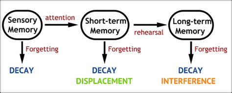 Image result for Multi-Store Model Pics