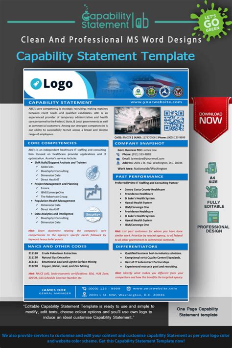 Image result for Government Capability Statement Template Free