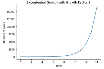 Exponential Growth Graph に対する画像結果