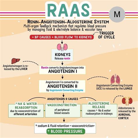 Image result for Raas Systeem