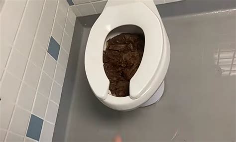 Image result for Aggressive Male Poop