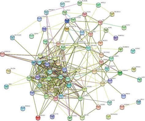 Image result for Who Discrovered String Database