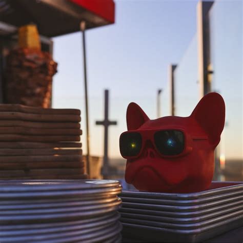 Image result for Antique Beer Signs