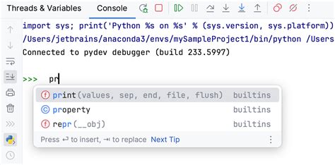 PyCharm Debug Code Window に対する画像結果