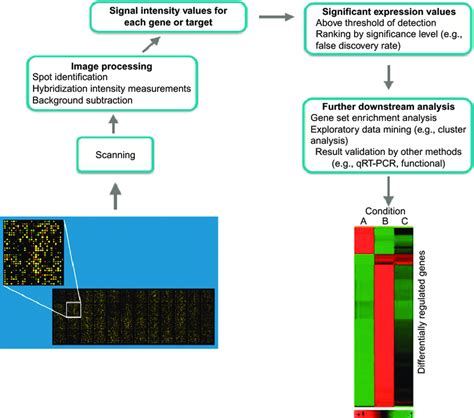 Slides Microarray Color Intensity Chart に対する画像結果