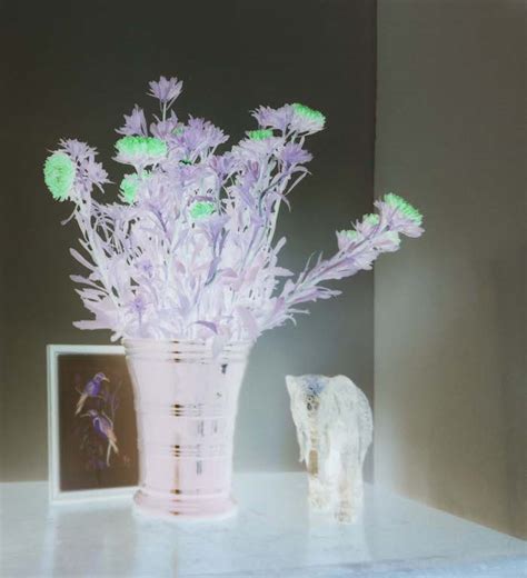 Image result for Raspberry Pi 4 Camera Install