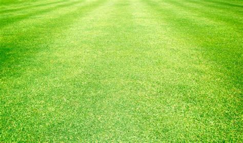 Golf Turf Graphic に対する画像結果