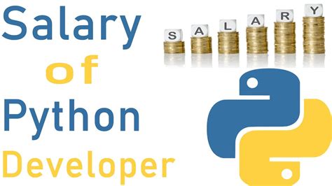 Image result for Python Developer Package in India