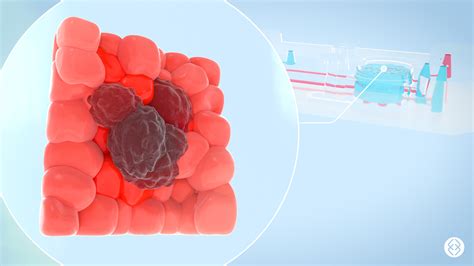 Engineering Science Animation に対する画像結果
