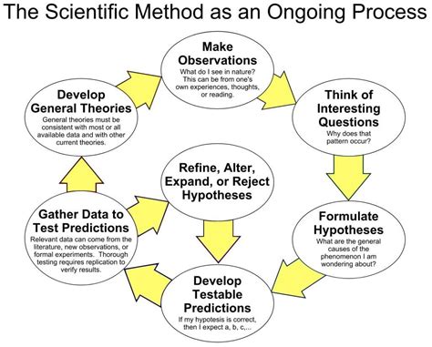 Image result for Scientific Method Design Brain