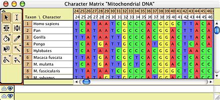 Image result for Character Matrix Examples