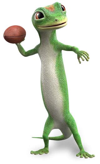Image result for GEICO Gecko Football