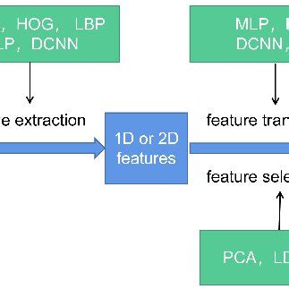 Dataset Feature Extraction に対する画像結果