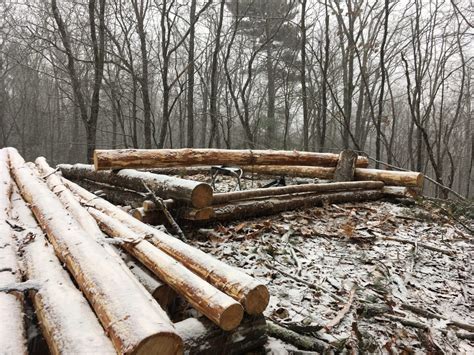 Image result for Off-Grid Log Cabin Build